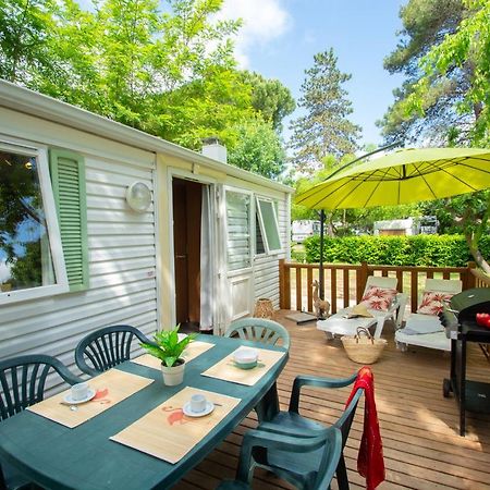 Camping Les Mimosas Hotel Pegomas Ngoại thất bức ảnh