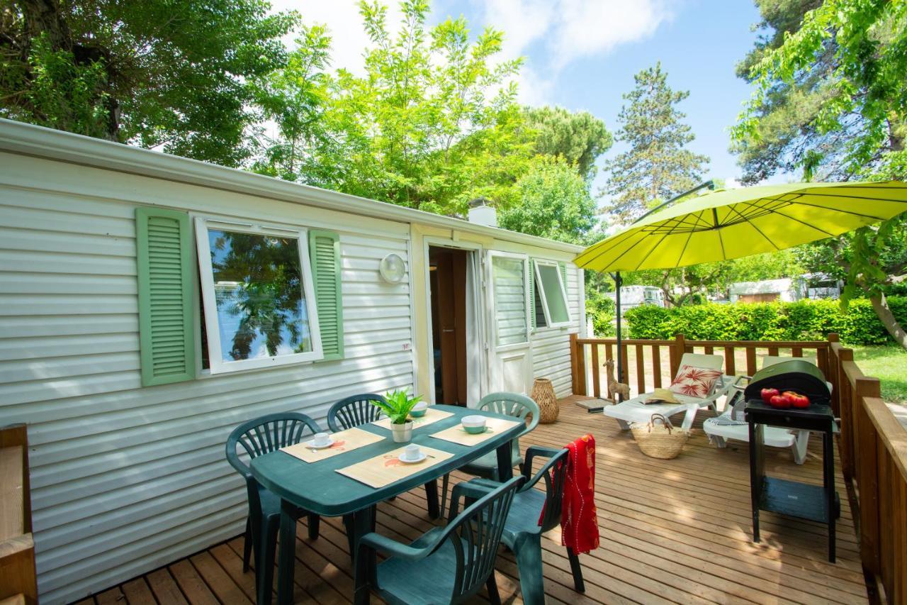 Camping Les Mimosas Hotel Pegomas Ngoại thất bức ảnh