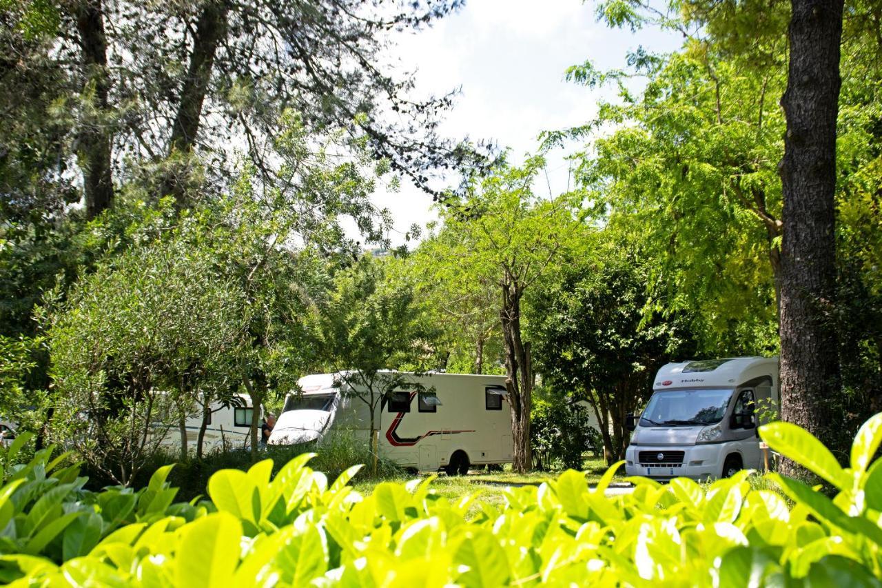 Camping Les Mimosas Hotel Pegomas Ngoại thất bức ảnh