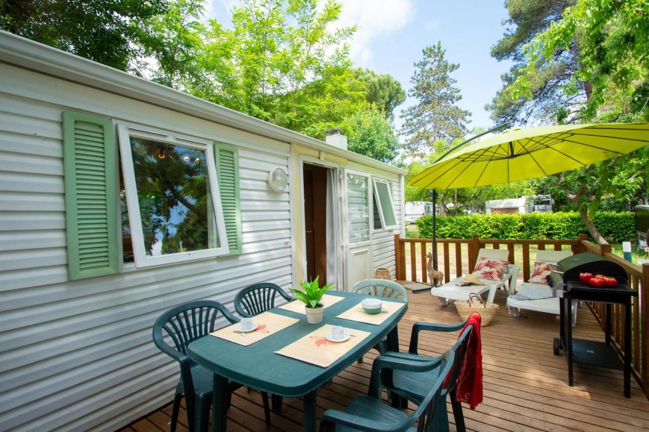 Camping Les Mimosas Hotel Pegomas Ngoại thất bức ảnh